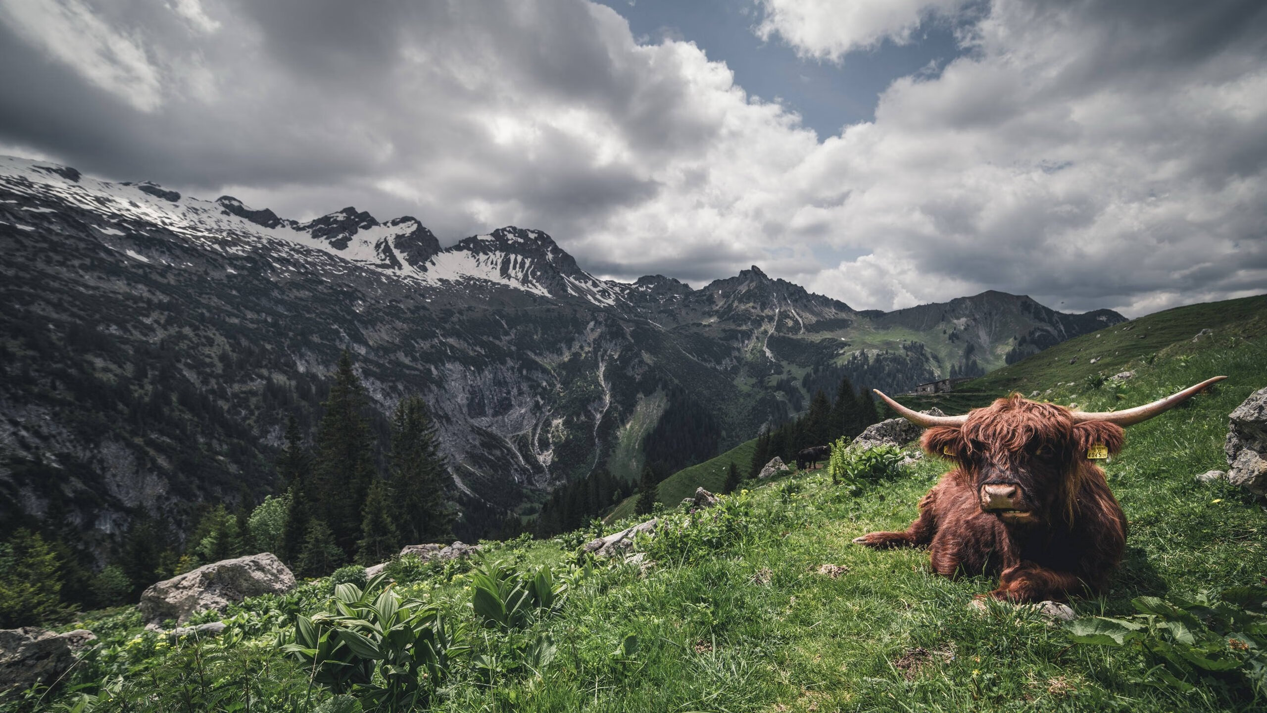 QQ飞车极速挑战赛感官盛宴,速度与激情完美结合,qq飞车极速赛车